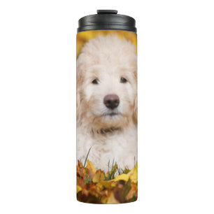 Goldendoedle Puppy in Fall Leaves Thermosbeker