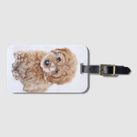 Goldendoedle Puppy met sneeuw op gezicht Bagagelabel (Voorkant (horizontaal))