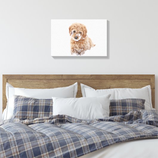 Goldendoedle Puppy met sneeuw op gezicht Canvas Afdruk (Insitu (Slaapkamer))