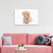 Goldendoedle Puppy met sneeuw op gezicht Canvas Afdruk (Insitu (Woonkamer))