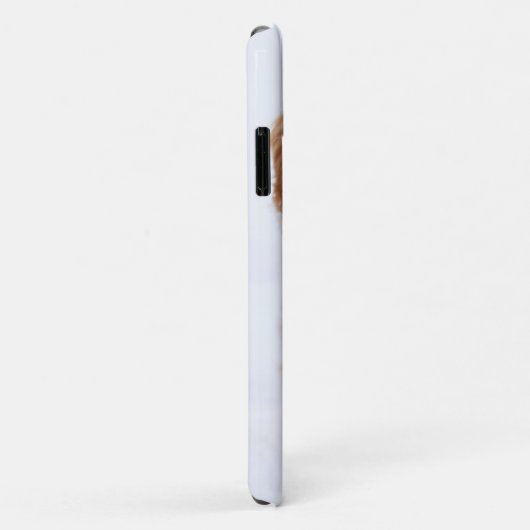 Goldendoedle Puppy met sneeuw op gezicht Case-Mate iPhone Case (Achterkant/rechts)