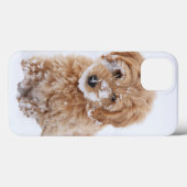 Goldendoedle Puppy met sneeuw op gezicht Case-Mate iPhone Case (Achterkant (horizontaal))