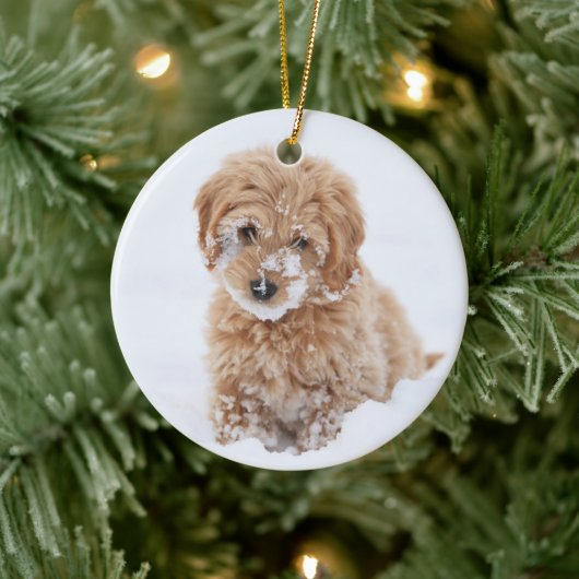 Goldendoedle Puppy met sneeuw op gezicht Keramisch Ornament (Boom)
