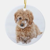 Goldendoedle Puppy met sneeuw op gezicht Keramisch Ornament (Voorkant)
