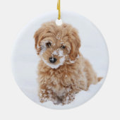 Goldendoedle Puppy met sneeuw op gezicht Keramisch Ornament (Achterkant)