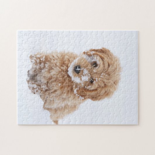 Goldendoedle Puppy met sneeuw op gezicht Legpuzzel (Horizontaal)