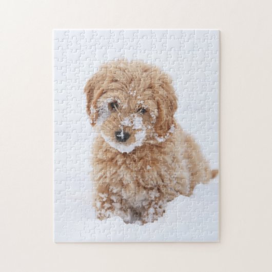 Goldendoedle Puppy met sneeuw op gezicht Legpuzzel (Verticaal)