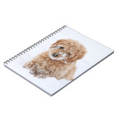 Goldendoedle Puppy met sneeuw op gezicht Notitieboek (Linkerzijde)