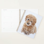 Goldendoedle Puppy met sneeuw op gezicht Planner (Display)