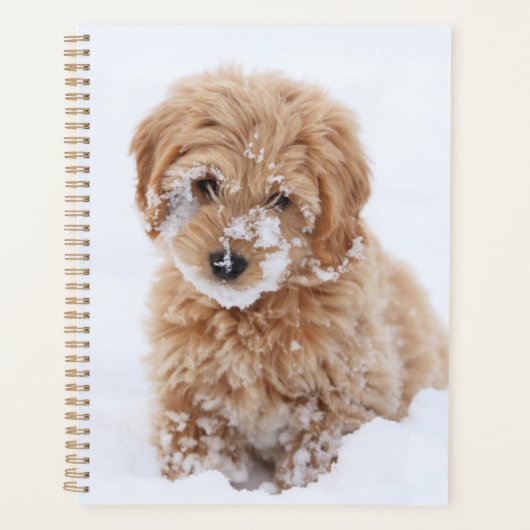Goldendoedle Puppy met sneeuw op gezicht Planner (Voorkant)