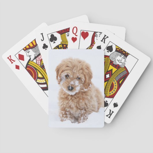Goldendoedle Puppy met sneeuw op gezicht Pokerkaarten (Achterkant)