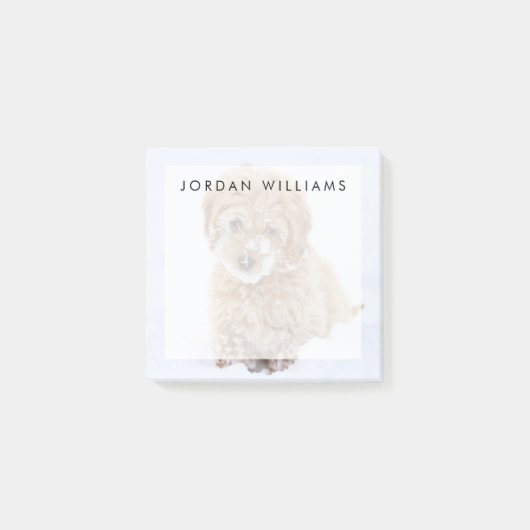 Goldendoedle Puppy met sneeuw op gezicht Post-it® Notes (Voorkant)