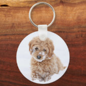 Goldendoedle Puppy met sneeuw op gezicht Sleutelhanger (Voorkant)