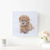 Goldendoedle Puppy met sneeuw op gezicht Vierkante Klok (Huis)
