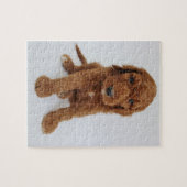 Goldendoedle puppy puzzel (Horizontaal)