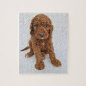 Goldendoedle puppy puzzel (Verticaal)
