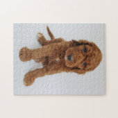 Goldendoedle puppy puzzel (Horizontaal)