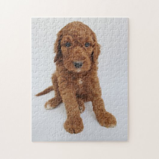 Goldendoedle puppy puzzel (Verticaal)
