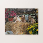 Goldendoedle puppy puzzel legpuzzel (Horizontaal)
