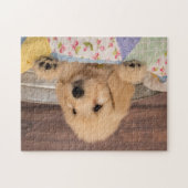 Goldendoedle puppy puzzle legpuzzel (Horizontaal)