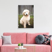 Goldendoedle Puppy Sits in Grass Canvas Afdruk (Insitu (Woonkamer))