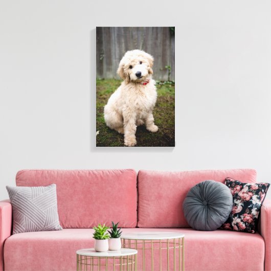 Goldendoedle Puppy Sits in Grass Canvas Afdruk (Insitu (Woonkamer))