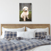 Goldendoedle Puppy Sits in Grass Canvas Afdruk (Insitu (Slaapkamer))