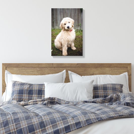 Goldendoedle Puppy Sits in Grass Canvas Afdruk (Insitu (Slaapkamer))