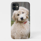 Goldendoedle Puppy Sits in Grass Case-Mate iPhone Case (Achterkant)