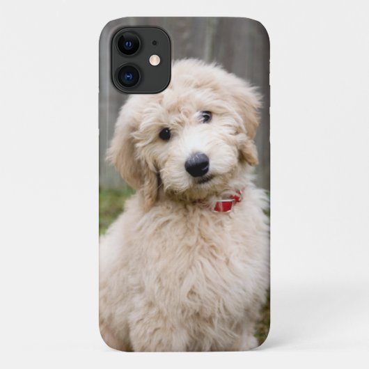 Goldendoedle Puppy Sits in Grass Case-Mate iPhone Case (Achterkant)
