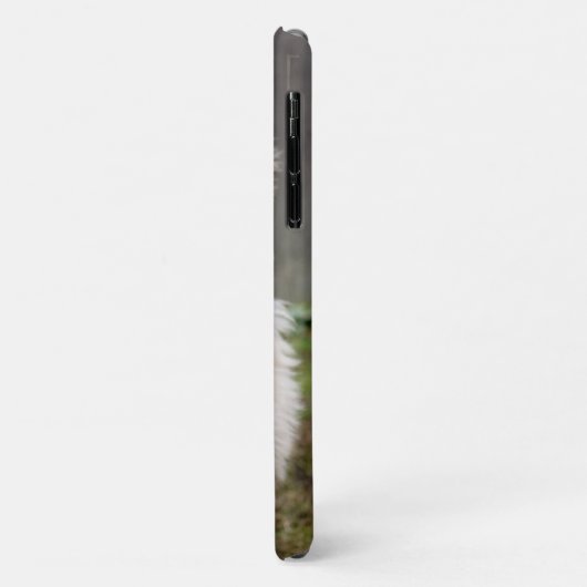 Goldendoedle Puppy Sits in Grass Case-Mate iPhone Case (Achterkant/links)