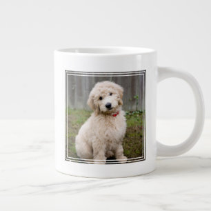Goldendoedle Puppy Sits in Grass Grote Koffiekop