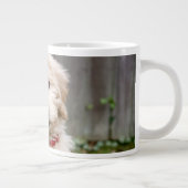 Goldendoedle Puppy Sits in Grass Grote Koffiekop (Rechts)