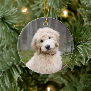 Goldendoedle Puppy Sits in Grass Keramisch Ornament