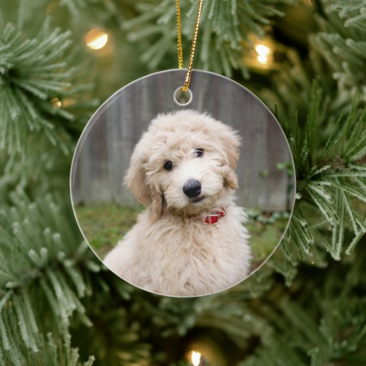Goldendoedle Puppy Sits in Grass Keramisch Ornament (Boom)