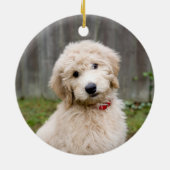 Goldendoedle Puppy Sits in Grass Keramisch Ornament (Achterkant)