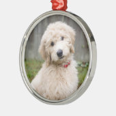 Goldendoedle Puppy Sits in Grass Metalen Ornament (Links)