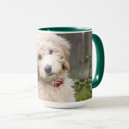 Goldendoedle Puppy Sits in Grass Mok (Voorkant rechts)