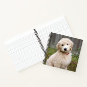 Goldendoedle Puppy Sits in Grass Notitieboek (Binnen)