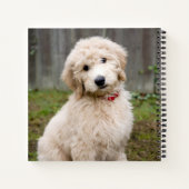 Goldendoedle Puppy Sits in Grass Notitieboek (Achterkant)