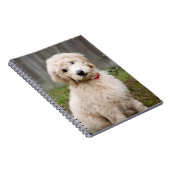 Goldendoedle Puppy Sits in Grass Notitieboek (Rechterzijde)
