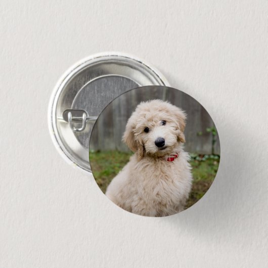 Goldendoedle Puppy Sits in Grass Ronde Button 3,2 Cm (Voorkant /achterkant)