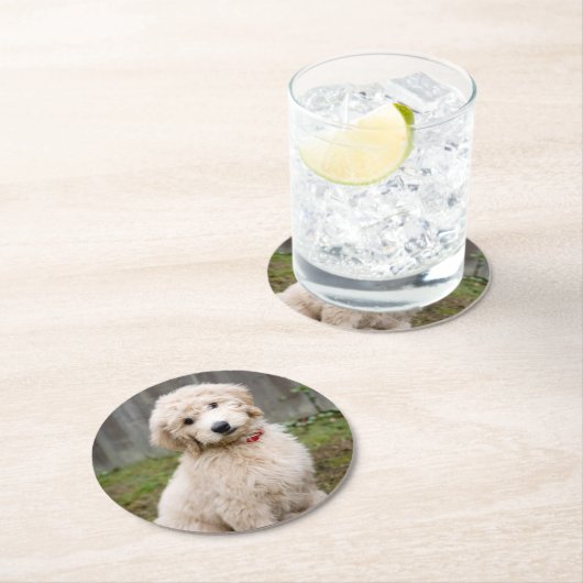 Goldendoedle Puppy Sits in Grass Ronde Kartonnen Onderzetter (Insitu)