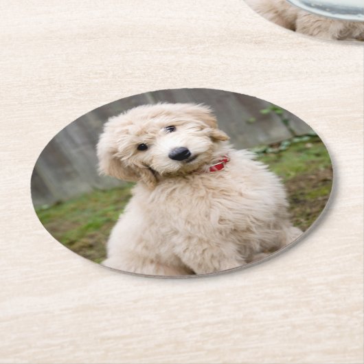 Goldendoedle Puppy Sits in Grass Ronde Kartonnen Onderzetter (Gebogen)