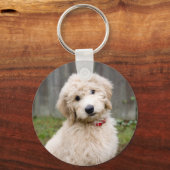 Goldendoedle Puppy Sits in Grass Sleutelhanger (Voorkant)