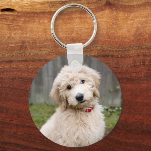 Goldendoedle Puppy Sits in Grass Sleutelhanger (Voorkant)