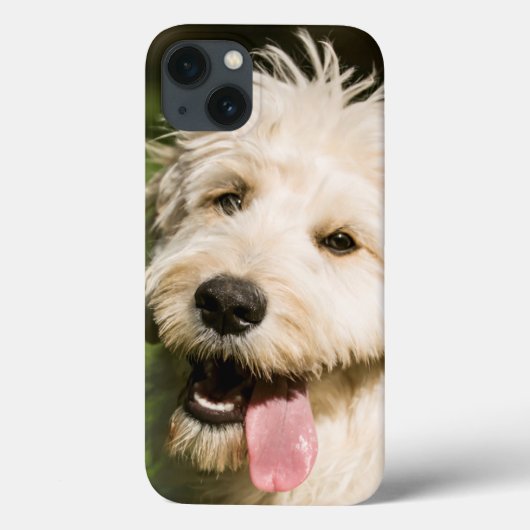 Goldendoekje Puppy Panting Case-Mate iPhone Case (Achterkant)