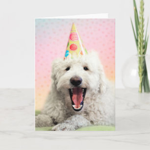 Goldendoele met Pet Kaart