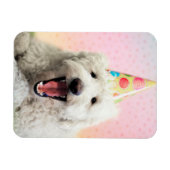 Goldendoele met Pet Magneet (Horizontaal)