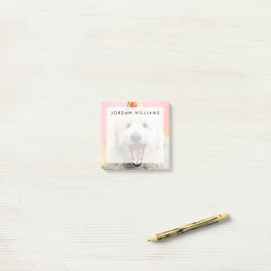 Goldendoele met Pet Post-it® Notes (Op bureau)